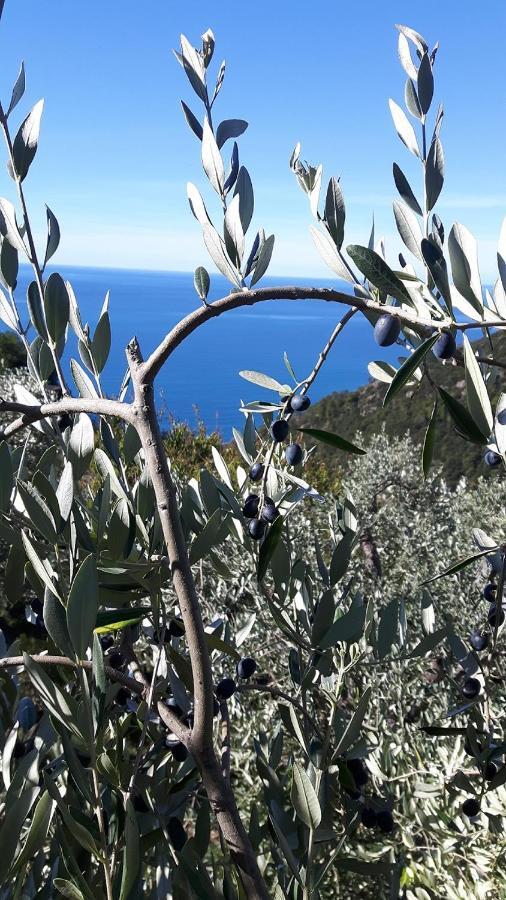 Case Vacanza Reggimonti Cinque Terre Bonassola Exterior photo